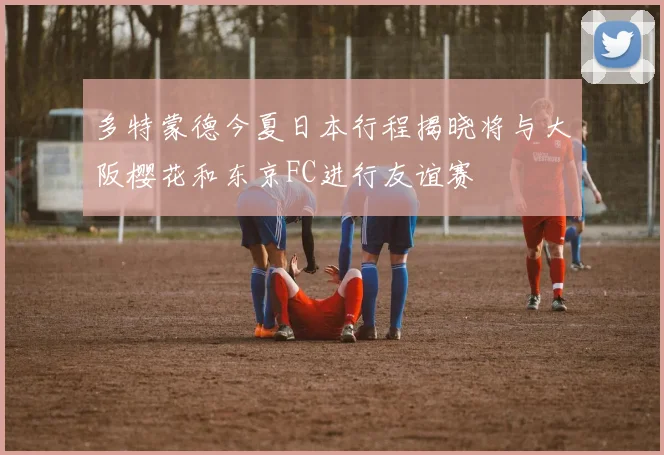 多特蒙德今夏日本行程揭晓将与大阪樱花和东京FC进行友谊赛